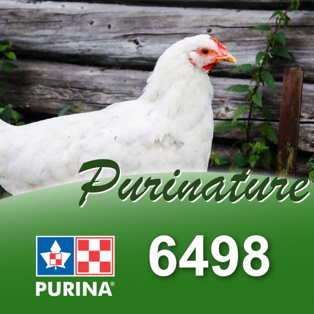 PURINA CARGILL - Purinature Layena Plus Short Cut Pellet, Size: 25kg