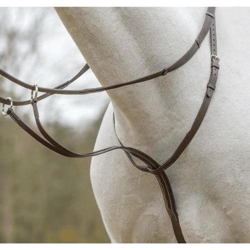 SHIRES - Martingale à  anneaux, Color: Havana, Size: Cob
