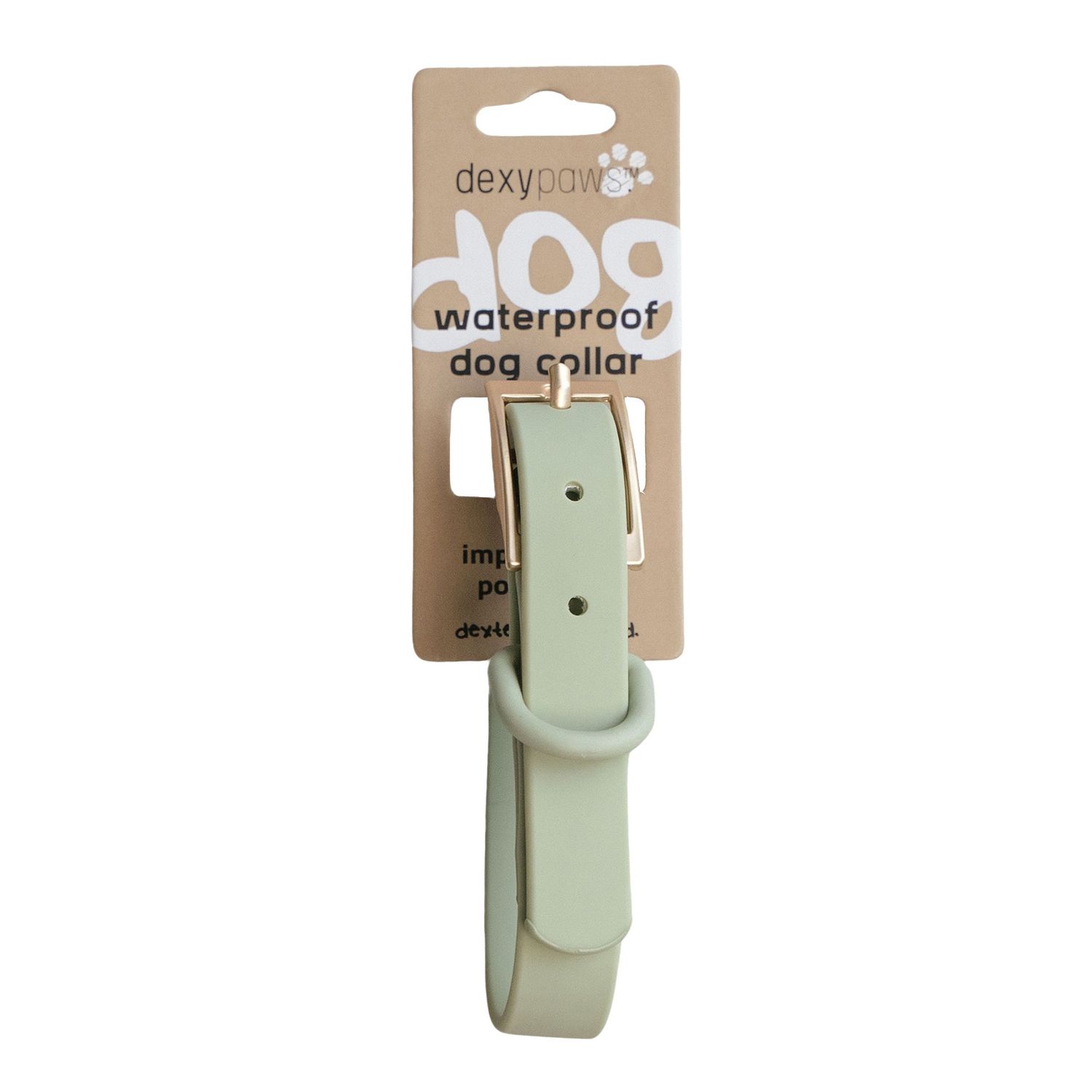 DEXYPAWS - Sage Green Waterproof Dog Collar, Size: Small