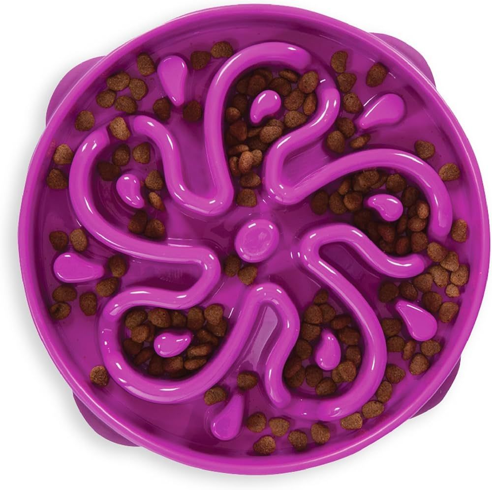 OUTWARD HOUND - Fun Feeder Slo Bowl Dog Purple Slow Feeder, Size: Large