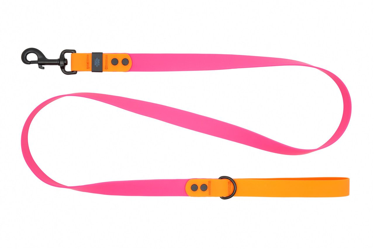 RC PETS - Azalea Waterproof Leash, Size: 3/4'' x 5'