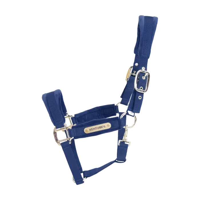 KENTUCKY HORSEWEAR - Velvet Navy Halter Navy, Size: Cob