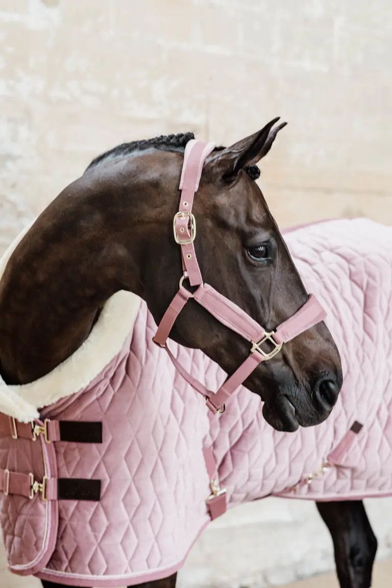 KENTUCKY HORSEWEAR - Velvet Old Rose Halter, Size: Cob