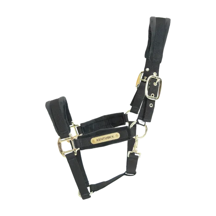 KENTUCKY HORSEWEAR - Velvet Black Halter, Size: Cob