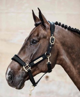 KENTUCKY HORSEWEAR - Velvet Black Halter