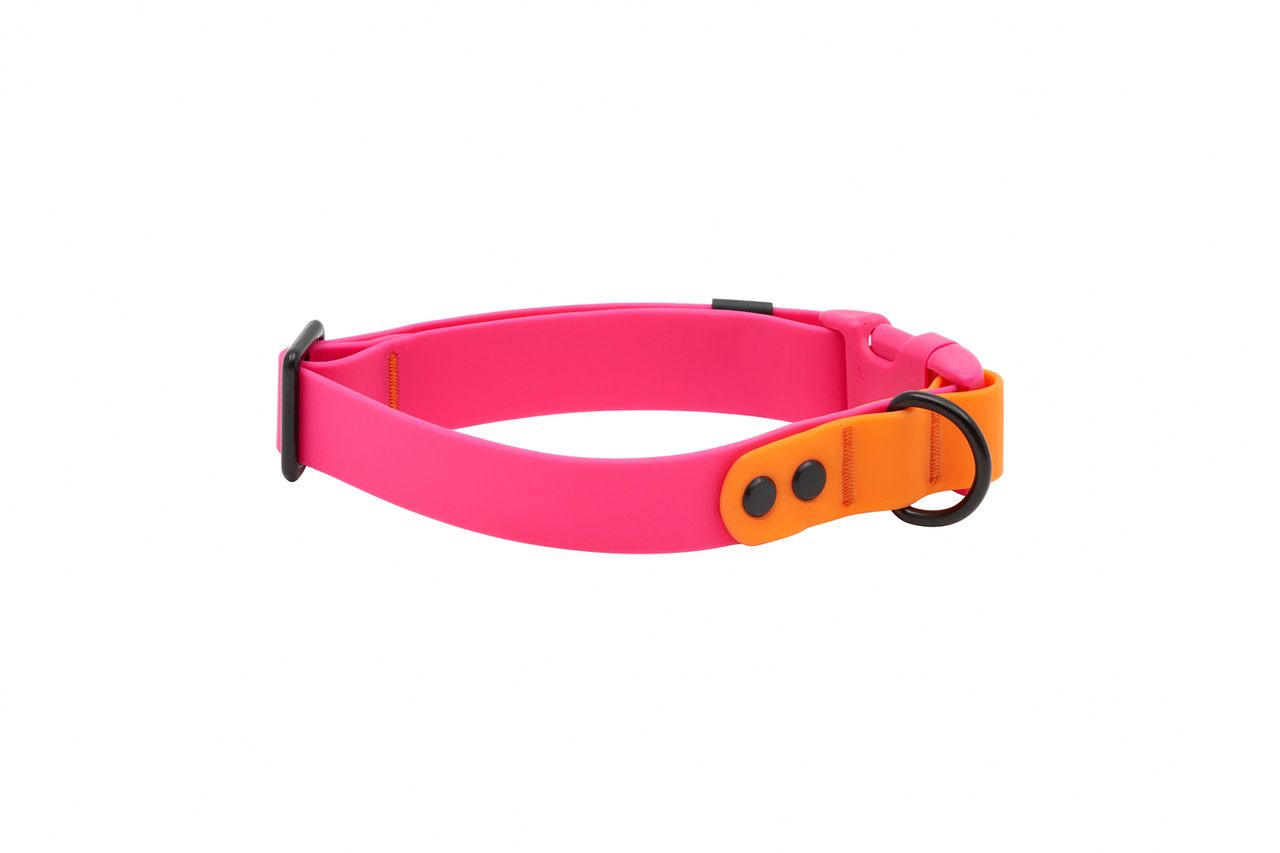 RC PETS - Azalea &amp; Orange Waterproof Collar, Grandeur: Small