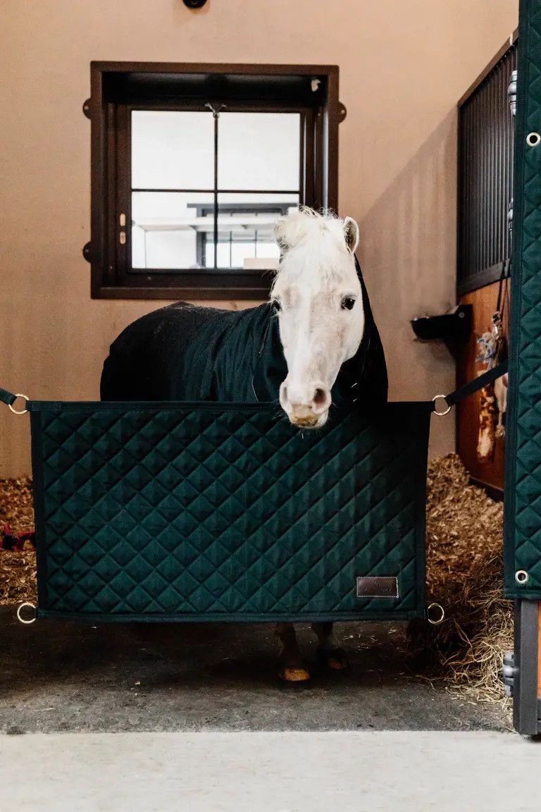 KENTUCKY HORSEWEAR - Stable Guard, Color: Dark Green, Size: 92 x 53 cm