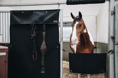 KENTUCKY HORSEWEAR - Stable Guard