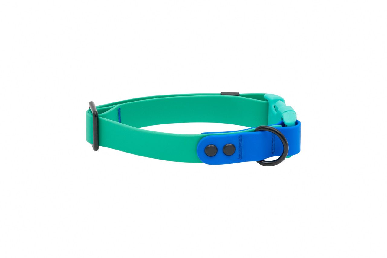 RC PETS - Parakeet &amp; Sapphire Waterproof Collar, Size: Small