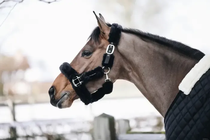 KENTUCKY HORSEWEAR - Sheepskin Shipping Black Halter
