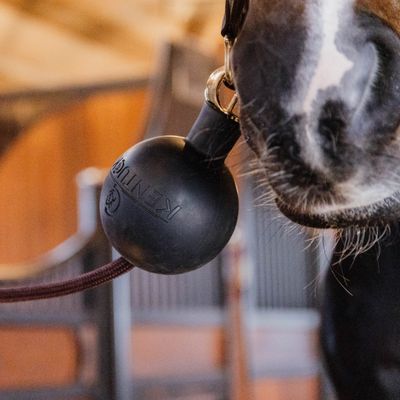 KENTUCKY HORSEWEAR - Stables Wall &amp; Lead Rubber Ball Protection