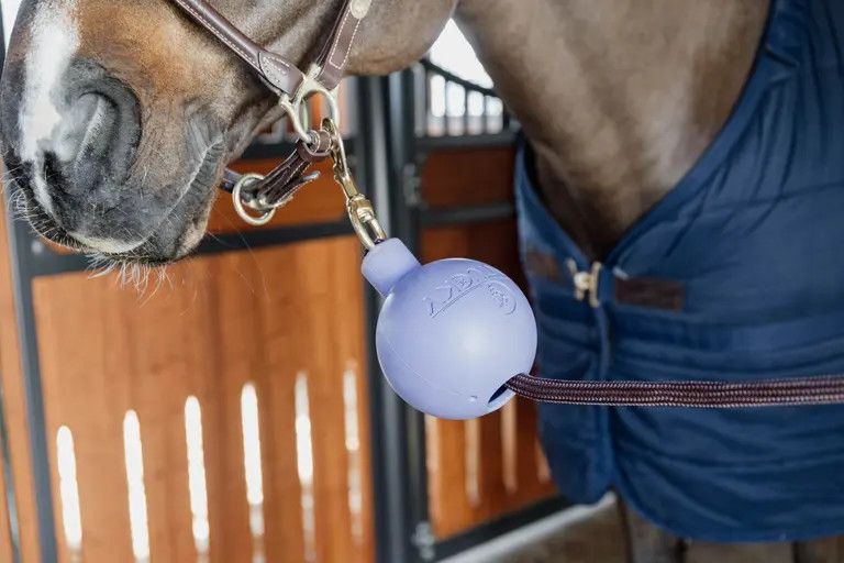 KENTUCKY HORSEWEAR - Stables Wall &amp; Lead Rubber Ball Protection, Color: Lavande, Size: One size
