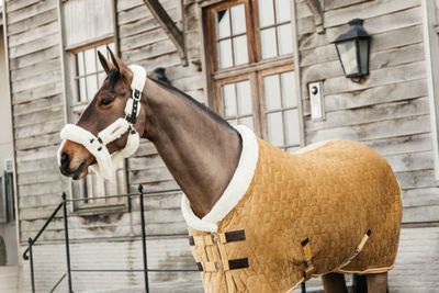 KENTUCKY HORSEWEAR - Show Rug Velvet Mustard