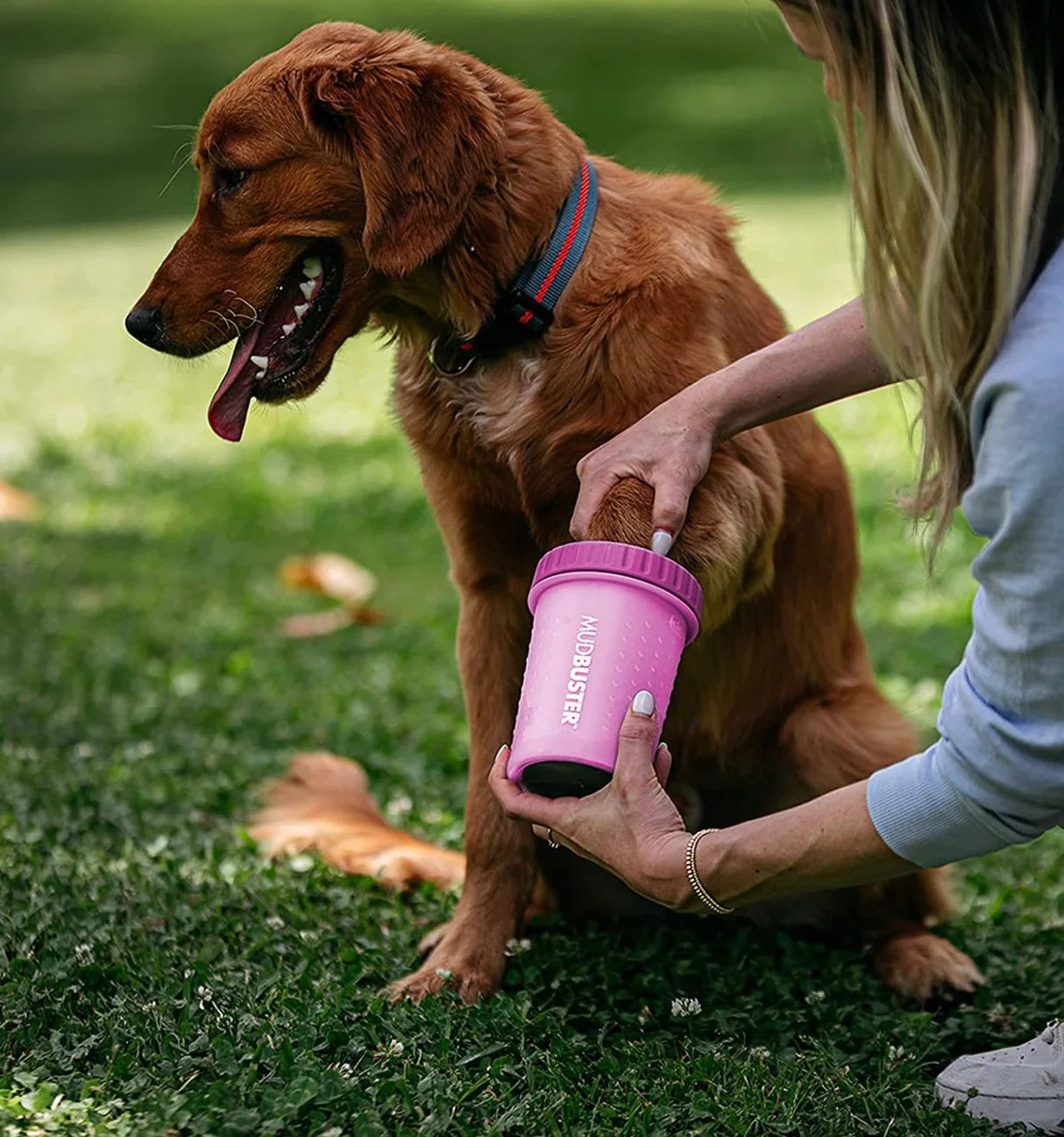 DEXAS - Paw Cleaner MudBuster, Color: Fuchsia, Size: Moyen