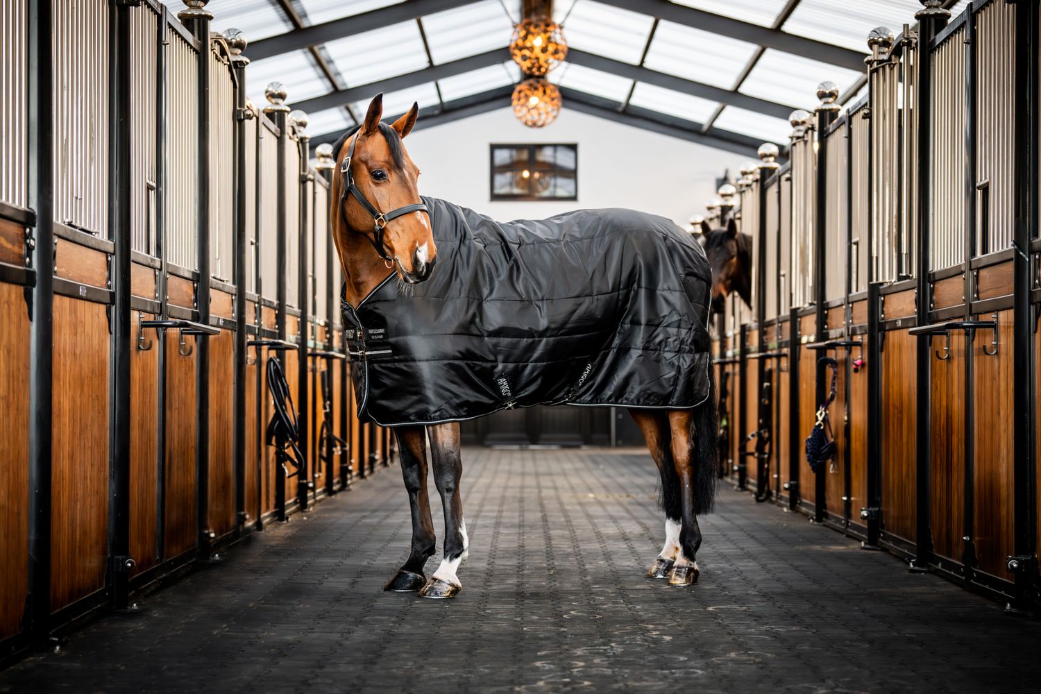 HORSEWARE - Amigo Diamond Insulator 100G Lite