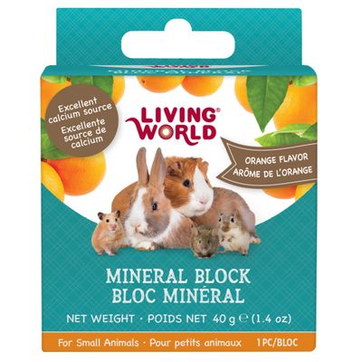 LIVING WORLD - Orange Mineral Block for Small Animals