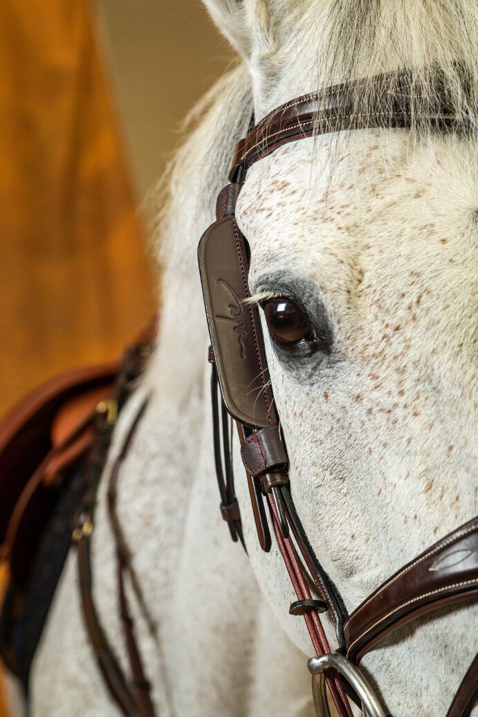 DY'ON - Blinkers, Color: Brun, Size: Full