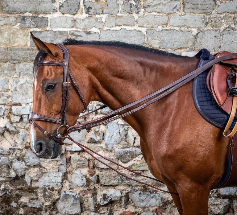 DY'ON - RLeather/Nylon Draw Reins 5/8, Color: Brun, Size: Full
