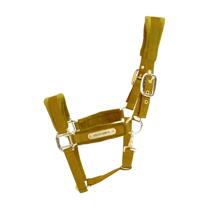 KENTUCKY HORSEWEAR - Velvet Mustard Halter, Size: Cob