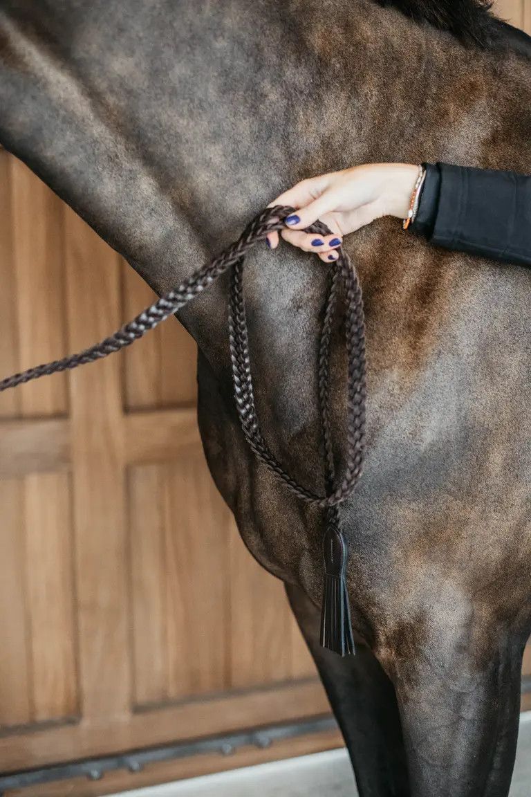 DY'ON - Leather Plaited Lead Rope, Color: Brun, Size: 180 cm