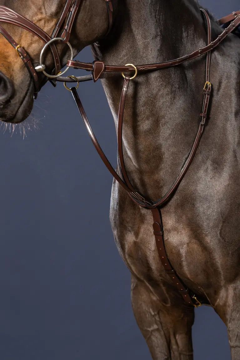 DY'ON - US Jumping Running Martingale, Color: Brun, Size: Cob