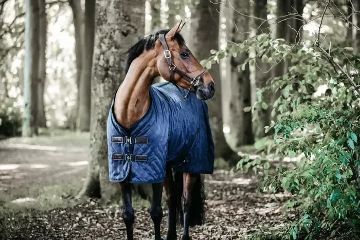 KENTUCKY HORSEWEAR - Navy 600D Stable Rug, Size: 125cm