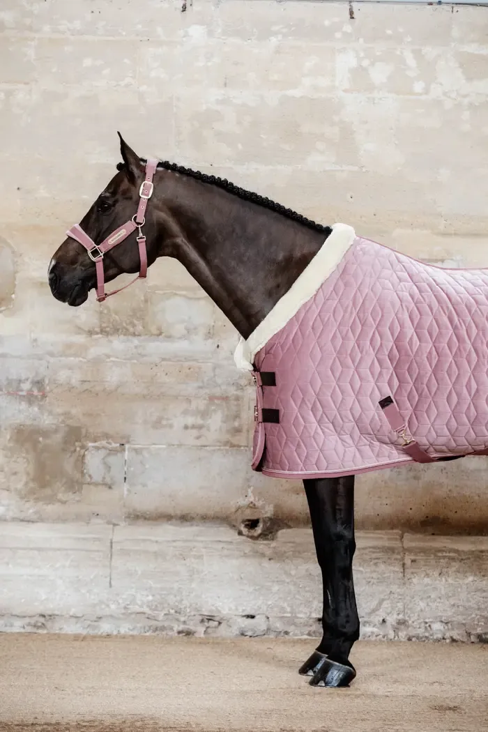 Couverture de présentation pour cheval Kentucky Show Heavy KENTUCKY