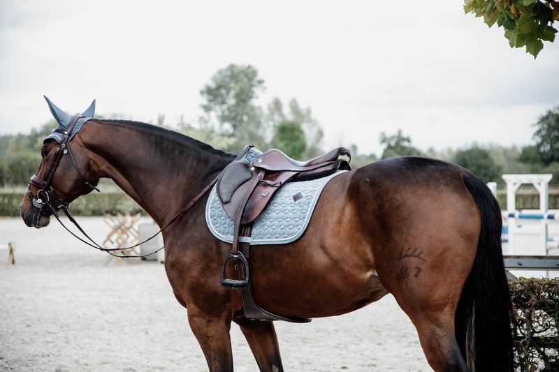 KENTUCKY HORSEWEAR -Saddle Pad Basic Grey Velvet Jumping