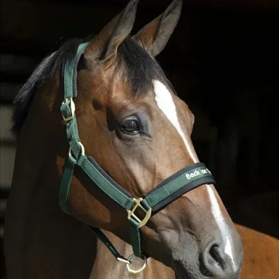 BACK ON TRACK - PP Werano Hunter Green Halter