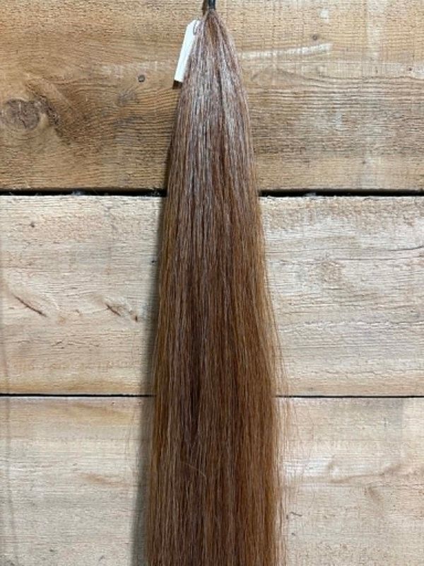 CHAMPION TAILS - Double Horse Tail Extension 32 in #06