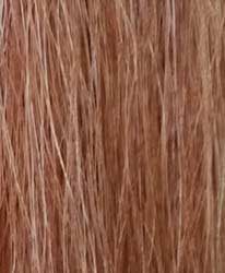CHAMPION TAILS - Double Horse Tail Extension 32 in #06, Color: Flaxen No 6