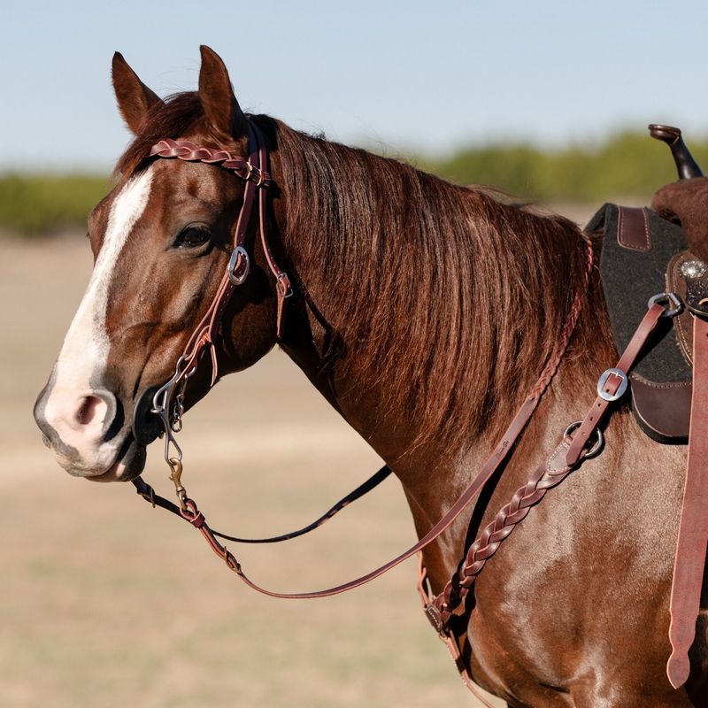 PROFESSIONAL'S CHOICE - Infinity Braid Breast Collar
