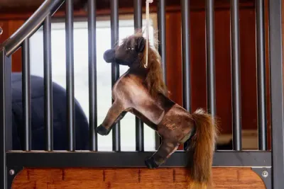 KENTUCKY HORSEWEAR - Relax Horse Toys