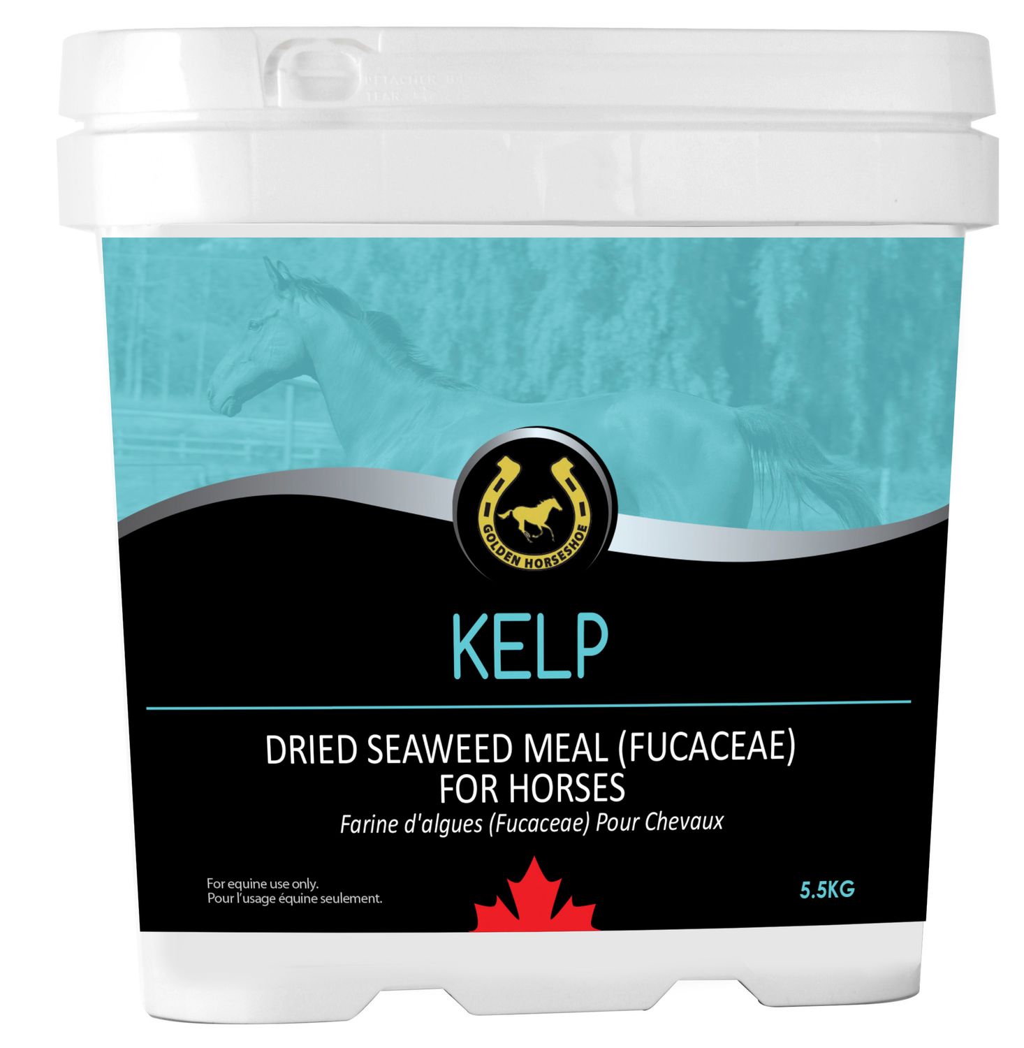 GOLDEN HORSESHOE - Kelp Dried Seaweed Meal for Horses, Format: 5.5kg