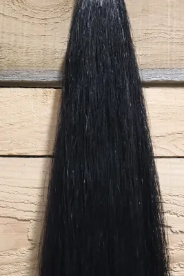 CHAMPION TAILS - Double Horse Tail Extension 32 in Black