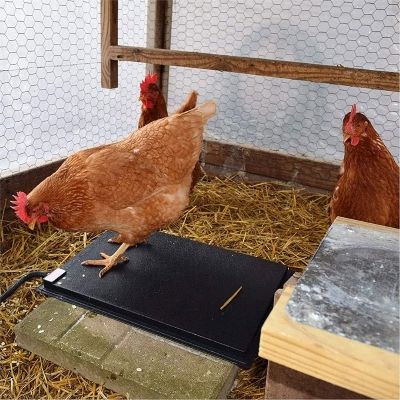 RANCH CUNICOLE - Heated Poultry Mat, Size: 13'' x 19''