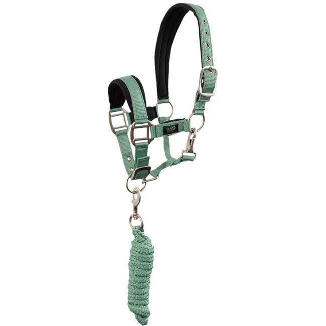 BR EQUESTRIAN - Feldspar Mini Horse Halter and Lead kit, Size: Shetland, Color: Feldspar