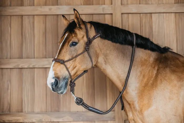 DY'ON - Rope training halter, Size: Cob, Color: Brun