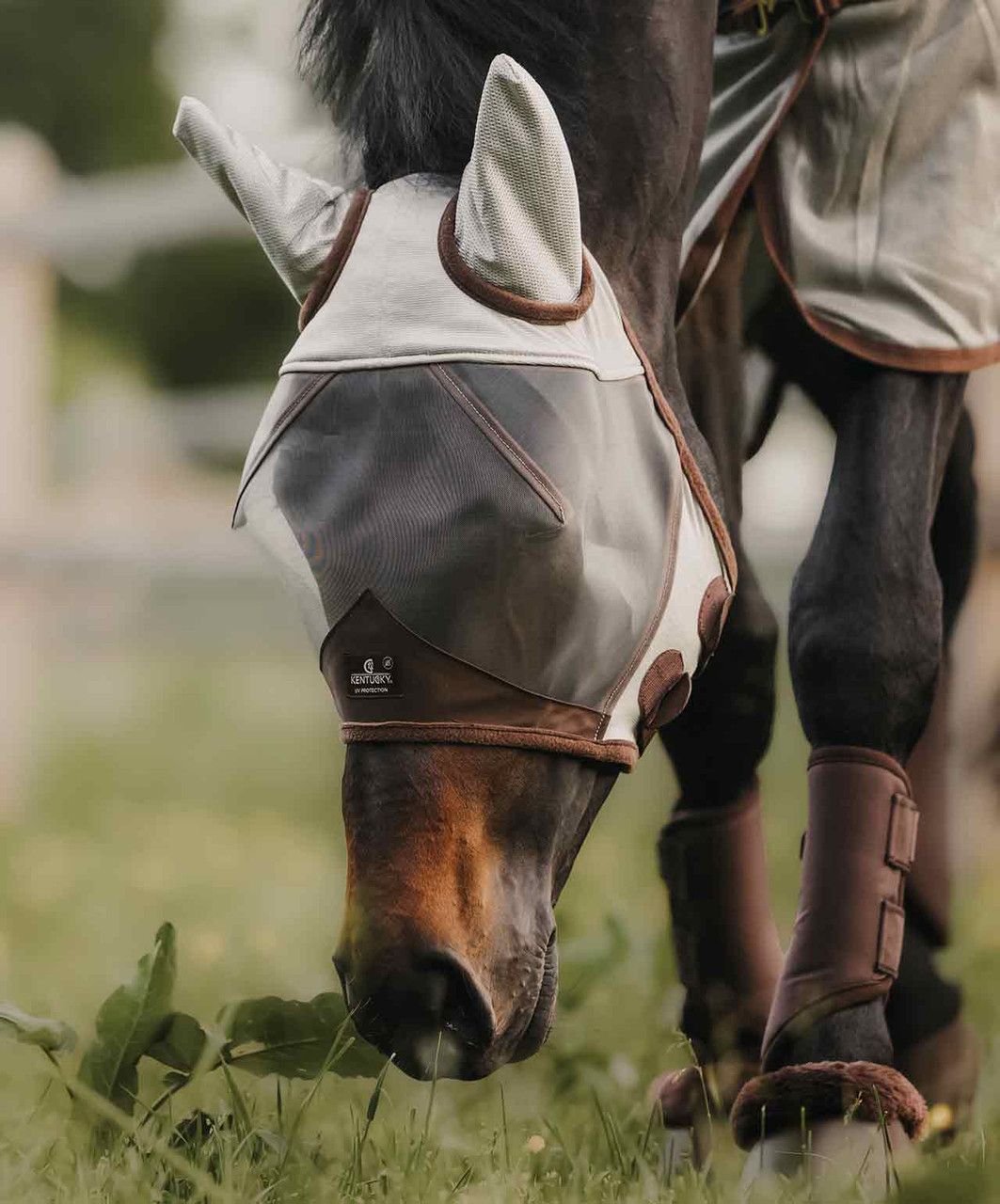 KENTUCKY HORSEWEAR - Fly Mask Classic with Ears, Size: Cob, Color: Silver