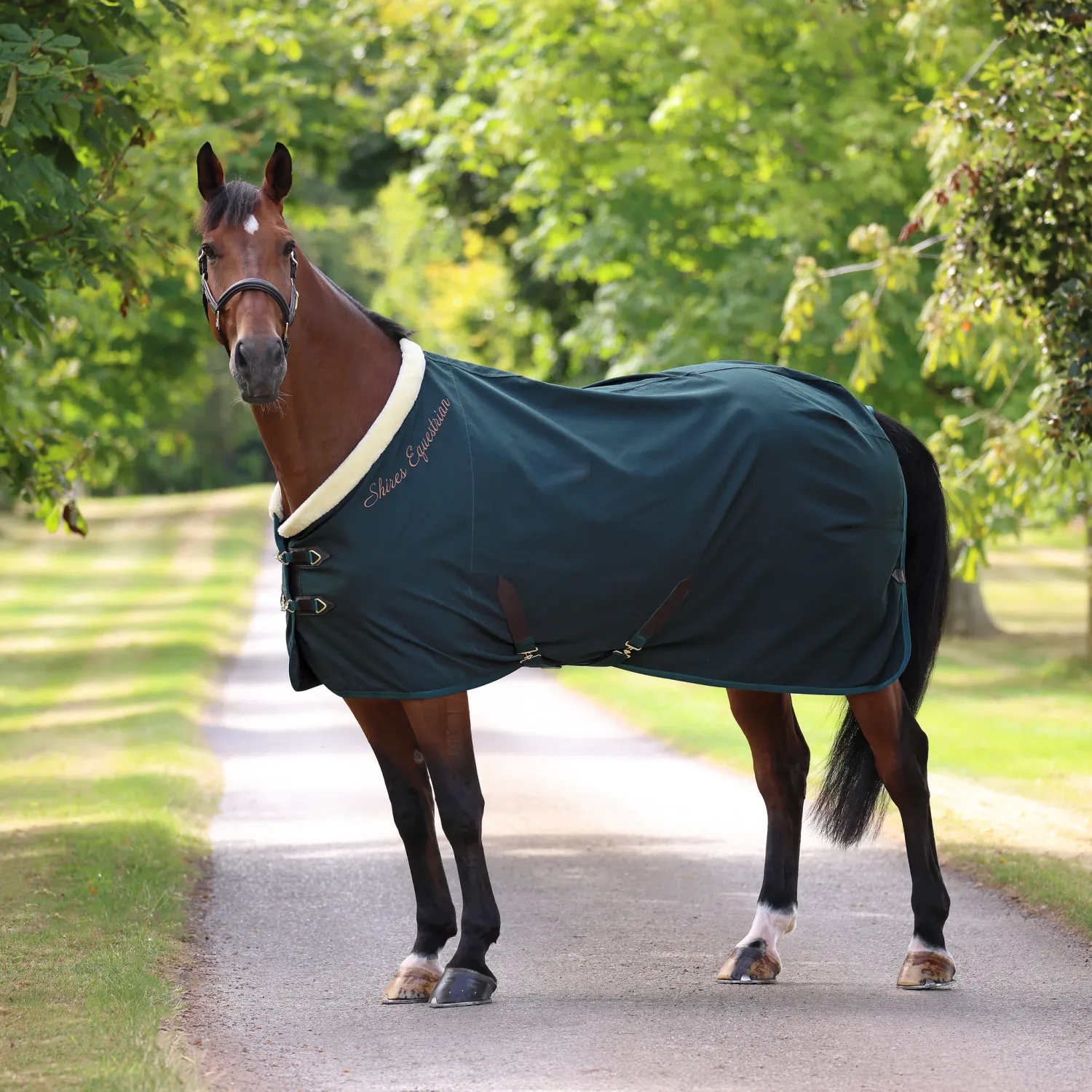 SHIRES - Deluxe Stable Sheet Hunter Green