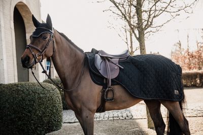 KENTUCKY HORSEWEAR - Black Exercise Sheet