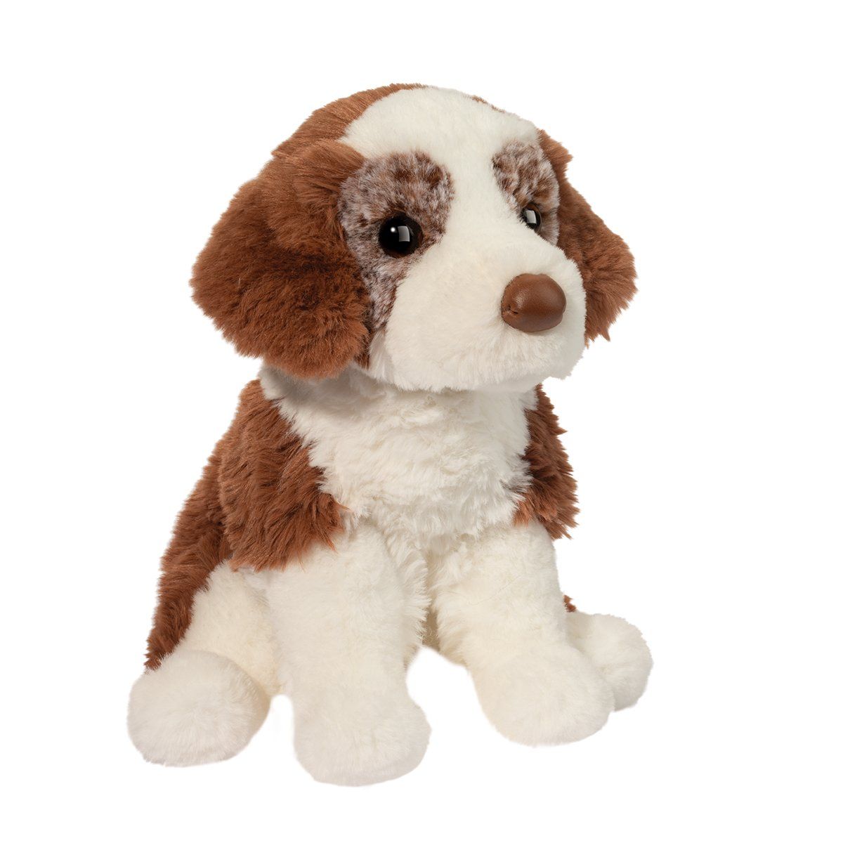 DOUGLAS - Rancher the Red Australien Shepherd, Colour: Rouge Merle