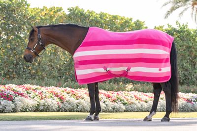 HORSEWARE - Fleece Cooler Nwemarket Witney Pink