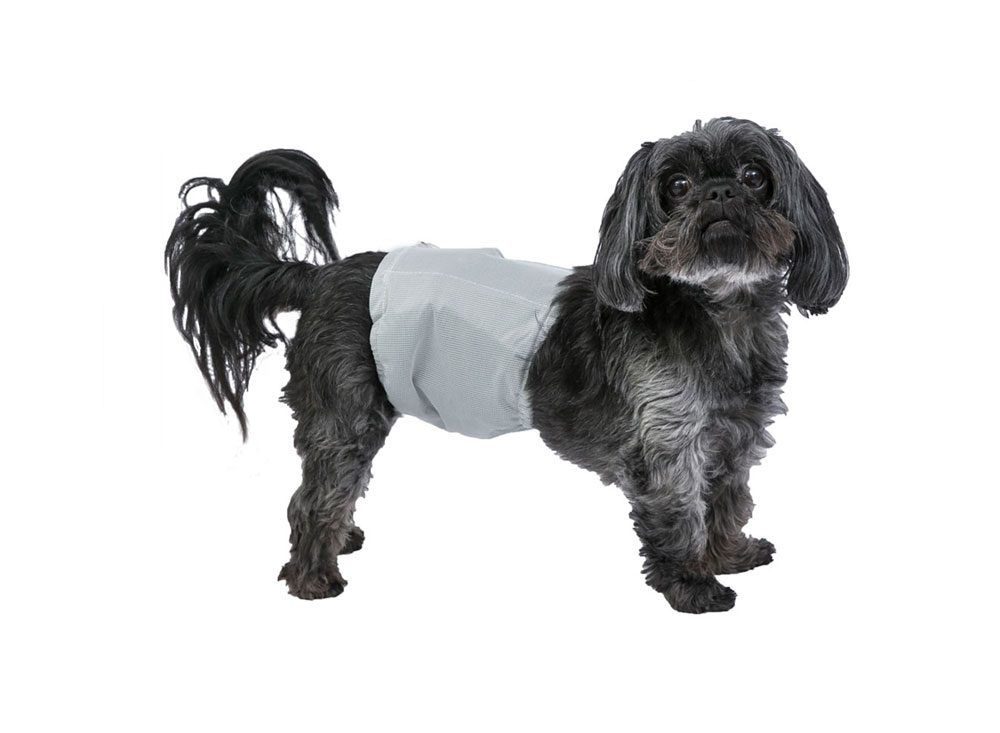 POOCH PAD - Male Wrap Pooch Pants, Size: Small