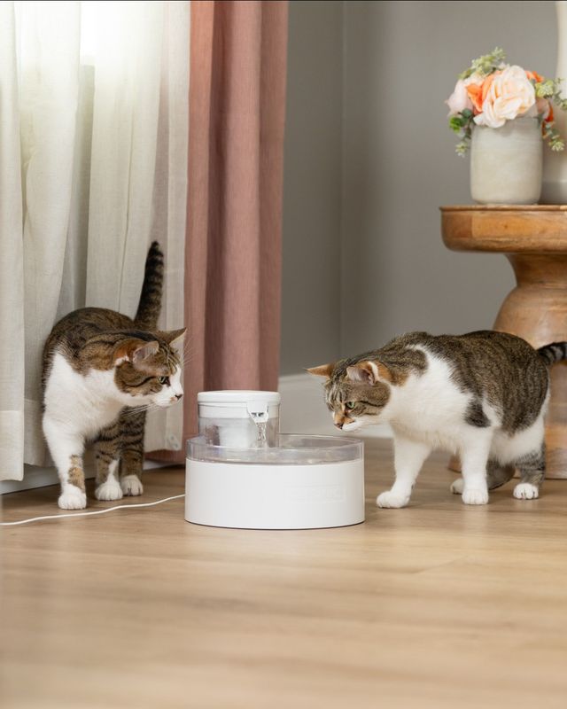 PETSAFE - Outlast Pet Fountain