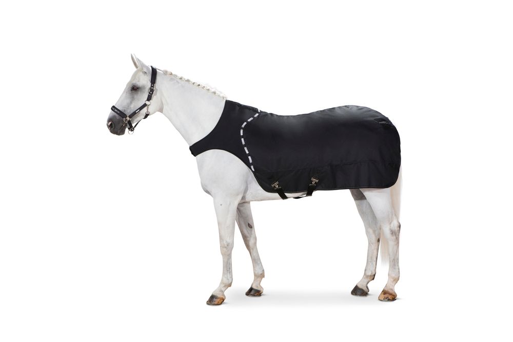 ESKADRON - Black Delta Walker System, Size: Medium