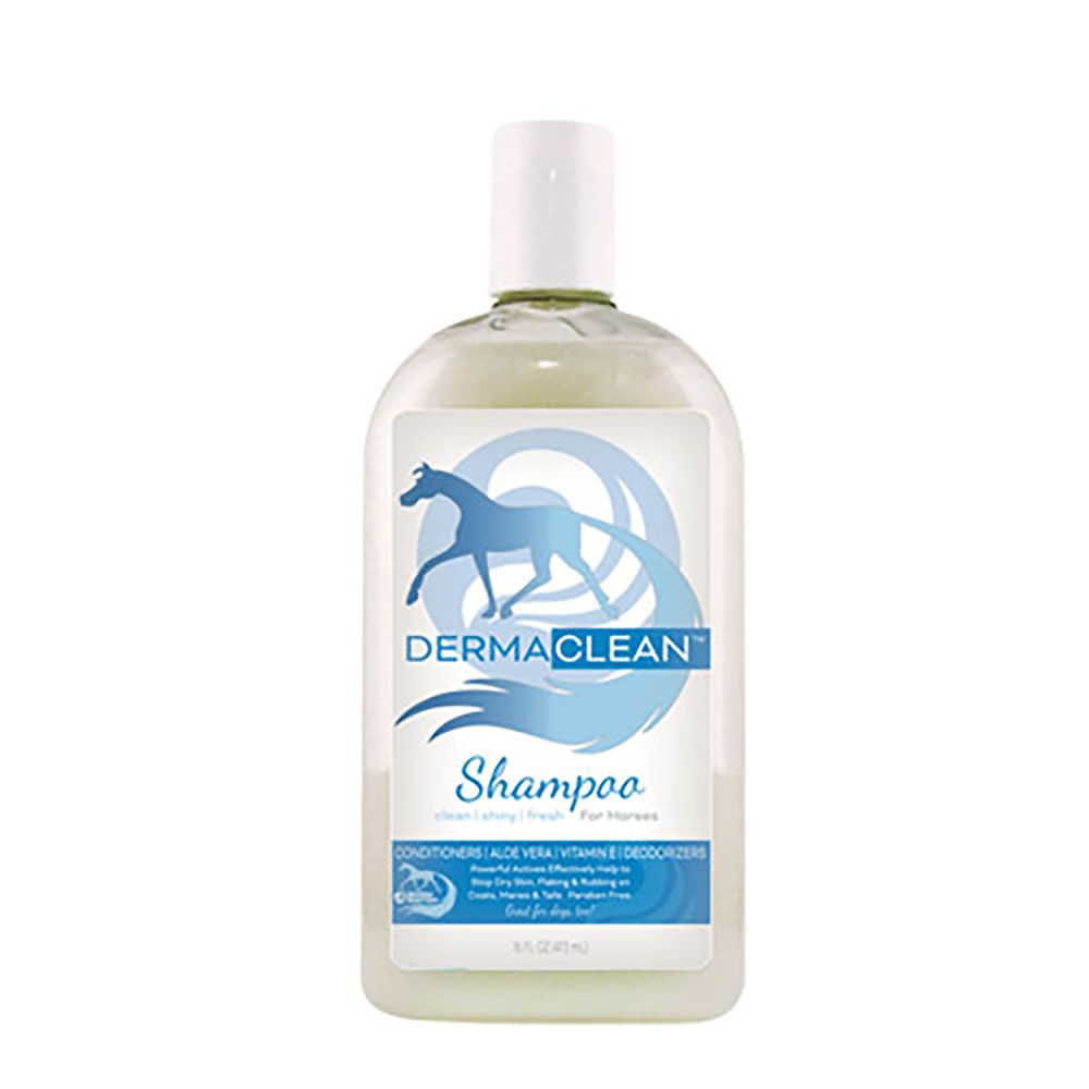 HEALTHY HAIRCARE - Antibacterial Derma Clean Shampoo, Format: 16oz