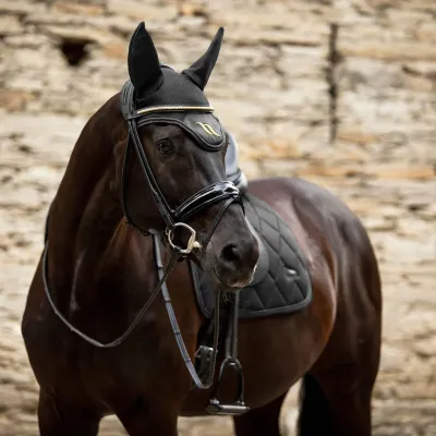 BACK ON TRACK - Black Airflow Bonnet