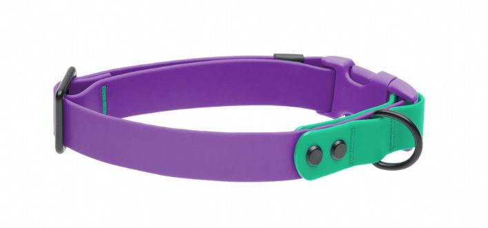 RC PETS - Purple &amp; Parakeet Waterproof Collar, Size: Small