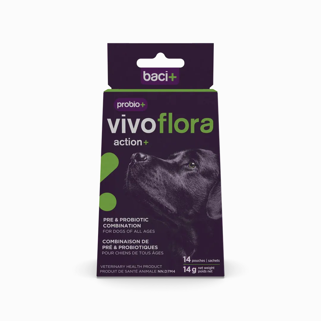 BACI+ - Probio+ VivoFlora Pre &amp; Probiotics Action+ Gut Health, Size: 14g (14 sachets x 1g)
